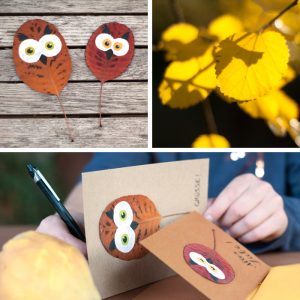 Herbstliche DIY Eulen-Grußkarten aus bunten, getrockneten und dann bemalten Blättern. Ein DIY von johannarundel.de