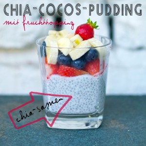 Chia-Kokos-Pudding
