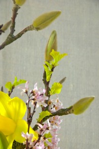 Frühlingsblumenstrauss
