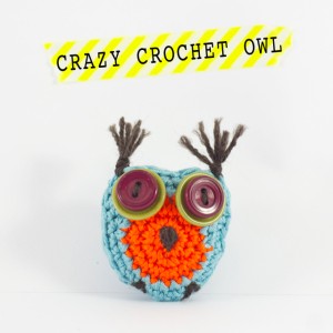 Crazy_crocheted_owl