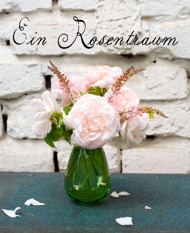 Friday Flowers | Ein Rosentraum